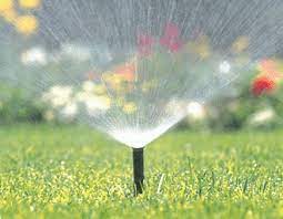 Sprinkler